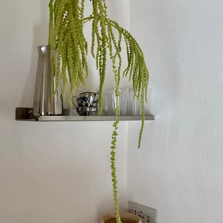 Casa Lenta Appartamento Ostuni